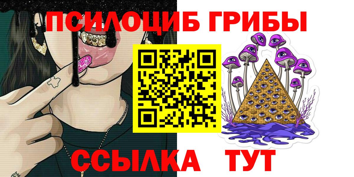 Галлюциногенные грибы Psilocybe  Вход с VPN  Новоалександровск  Галлюциногенные грибы Psilocybine cubensis 